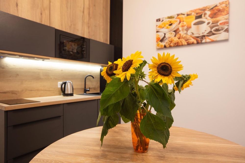 Апартаменти центр площа Ринок, Стрийський парк, Пекарська, Франка