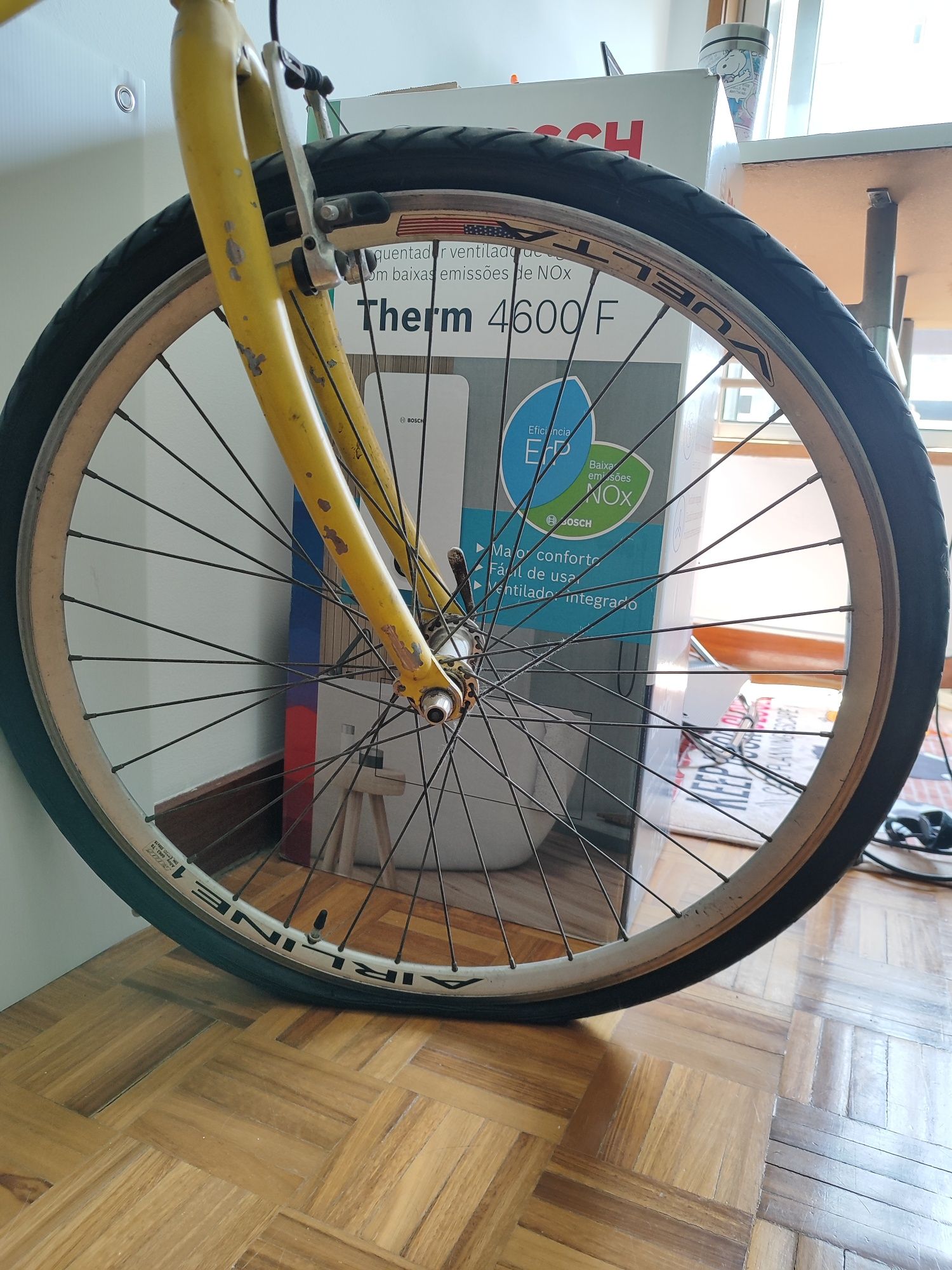 Bicicleta Urbana Adulto