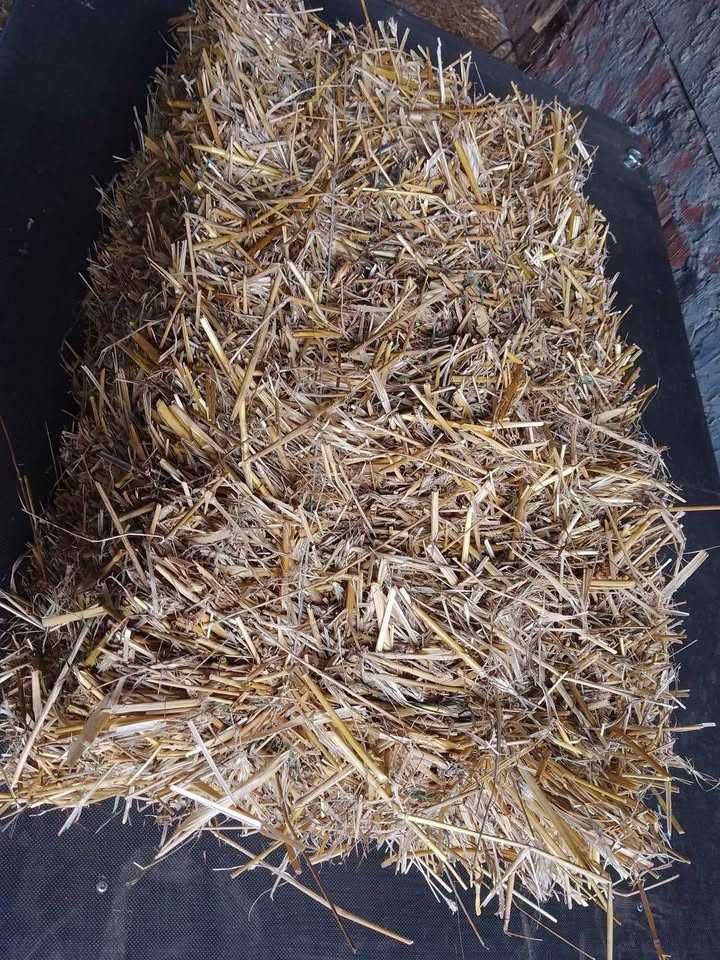 słoma w kostkach kostki słomy  z 2024r