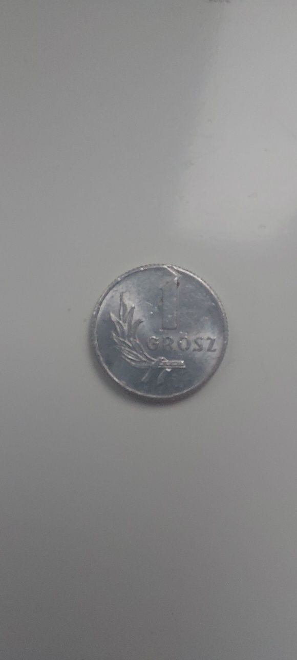 Moneta 1 grosz 1949r.
