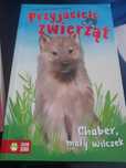 Książka dziecięca