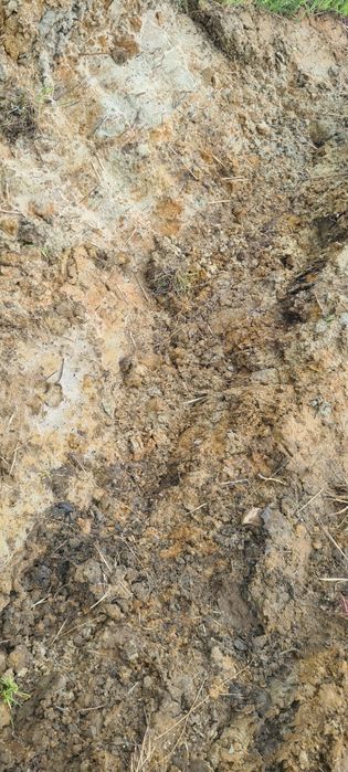 Ziemia iłowata. Oddam i dopłacę