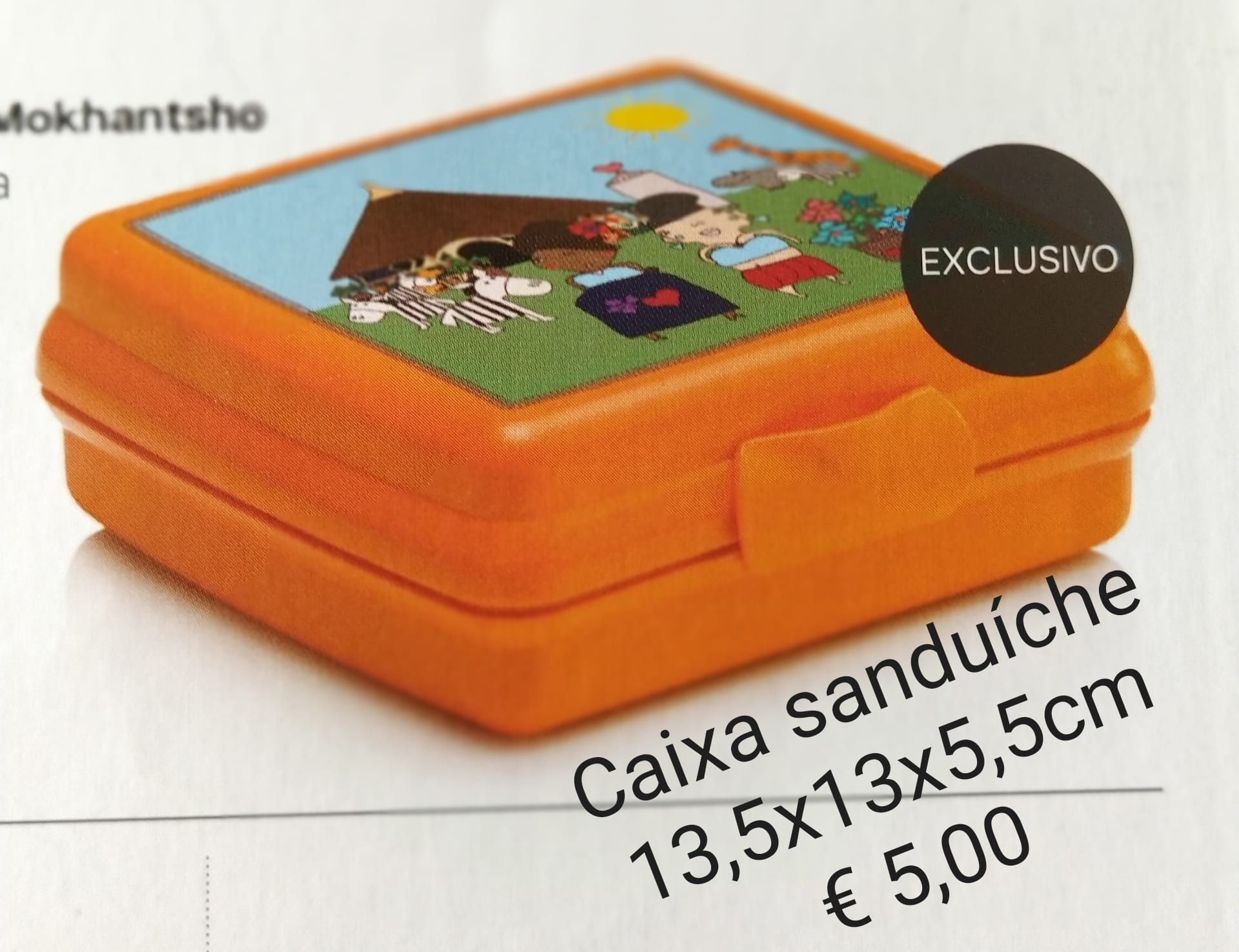 Caixa Tupperware Sanduíche Nova