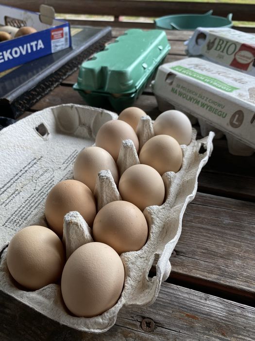 Jajka wiejskie ekologiczne