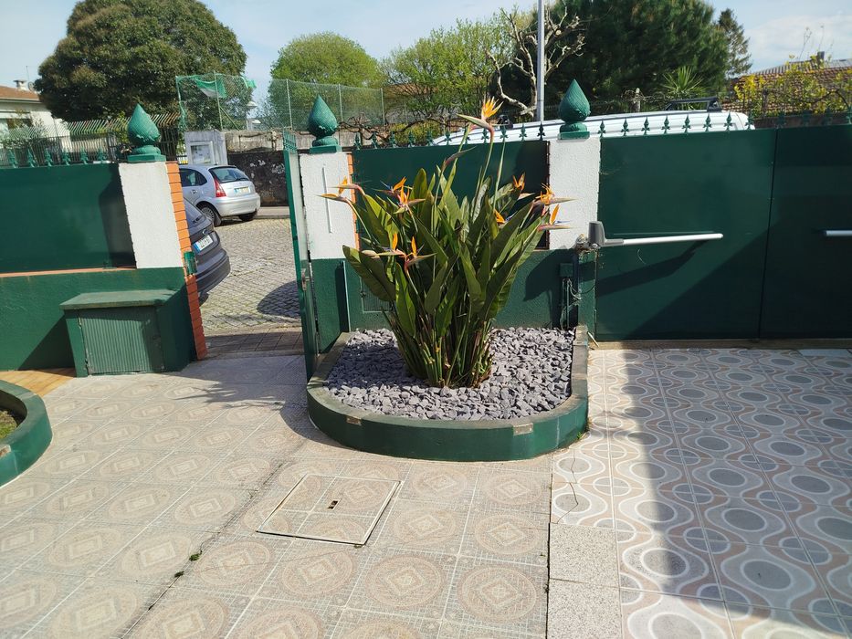 Jardineiro construção e manutenção de jardins