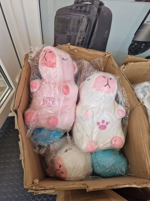 Дихаючий  стiч, видра, капібара .