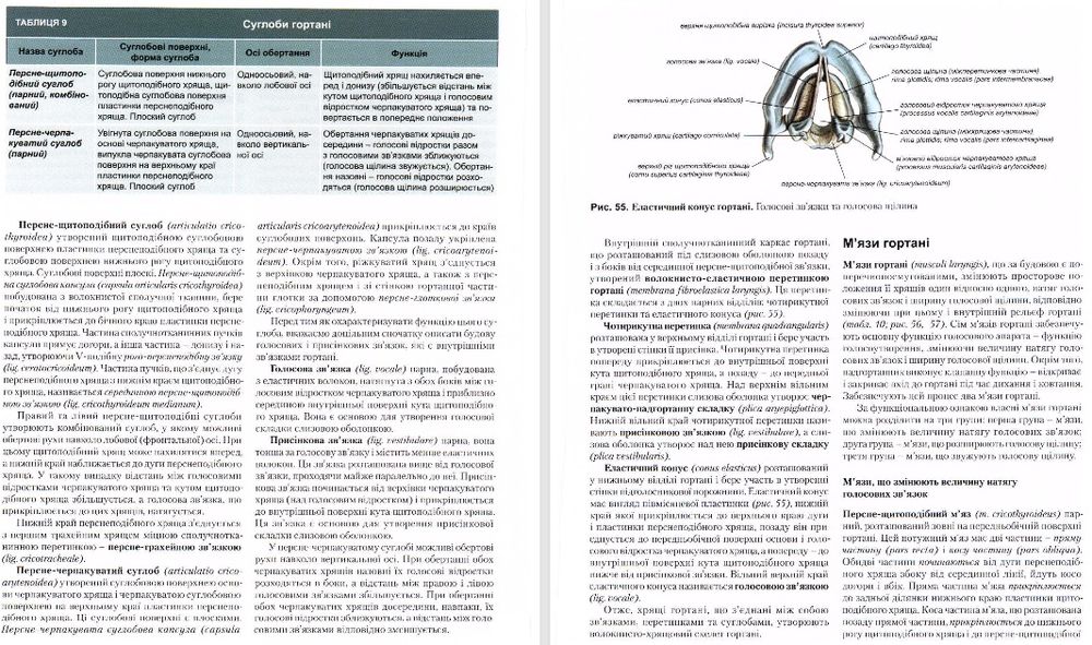 Анатомия. Нормальная. Анатомія. Нормальна. Головацький.