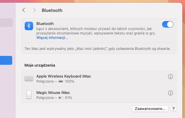 Mac mini 16/256 GB (z klawiaturą i myszką Apple)