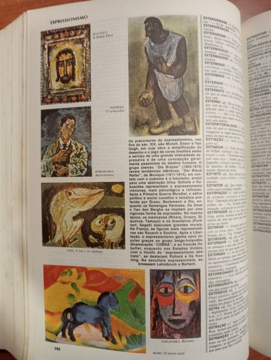 Dicionário Ilustrado Koogan Larousse