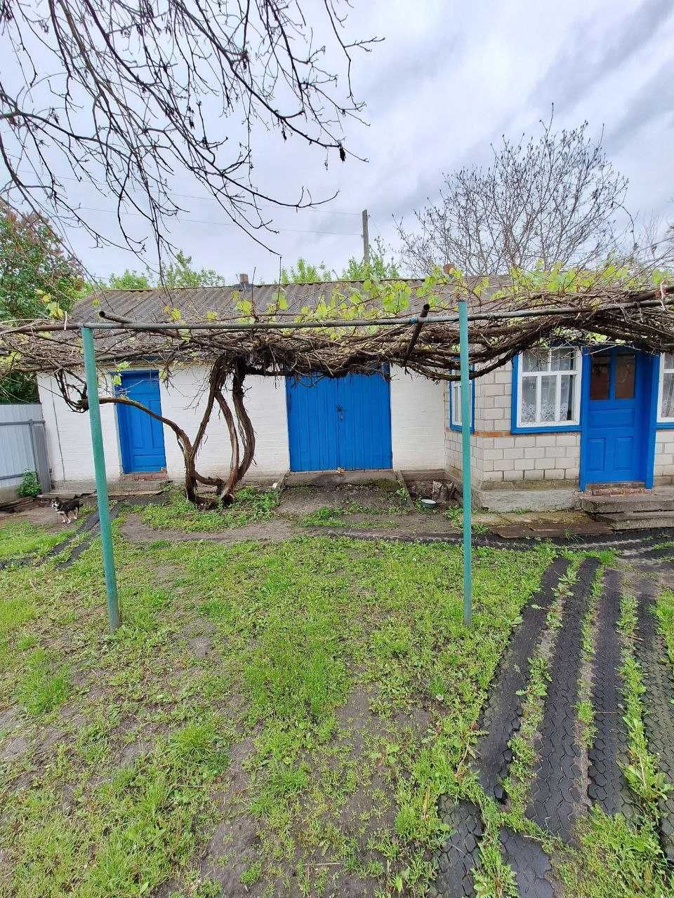 Продам будинок у селі Великі Сорочинці