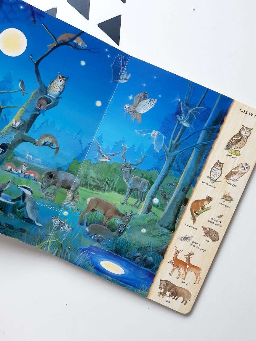 W lesie Henkel książka obrazkowa picture books wyszukiwanka