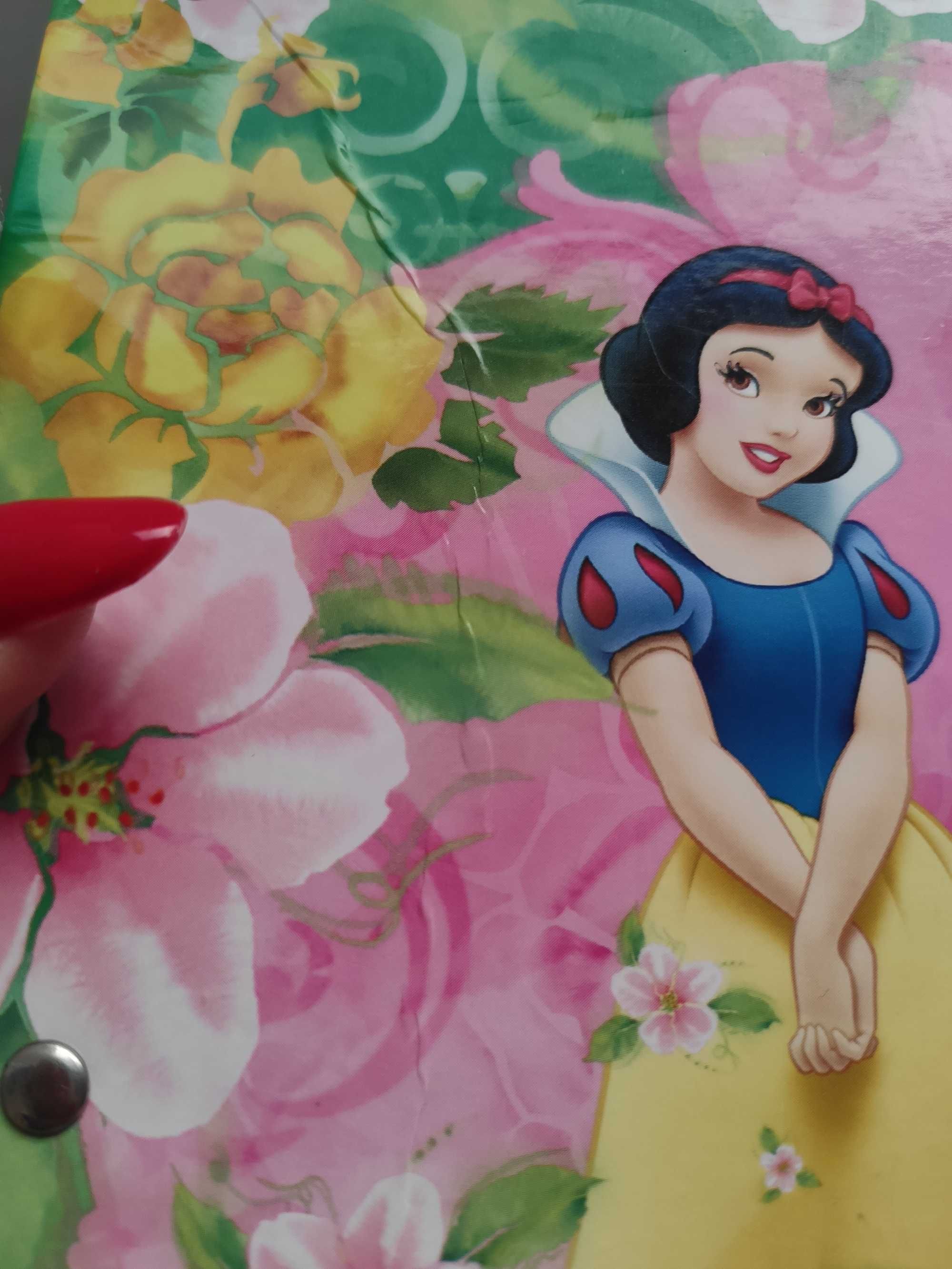Tekturowa teczka Disney