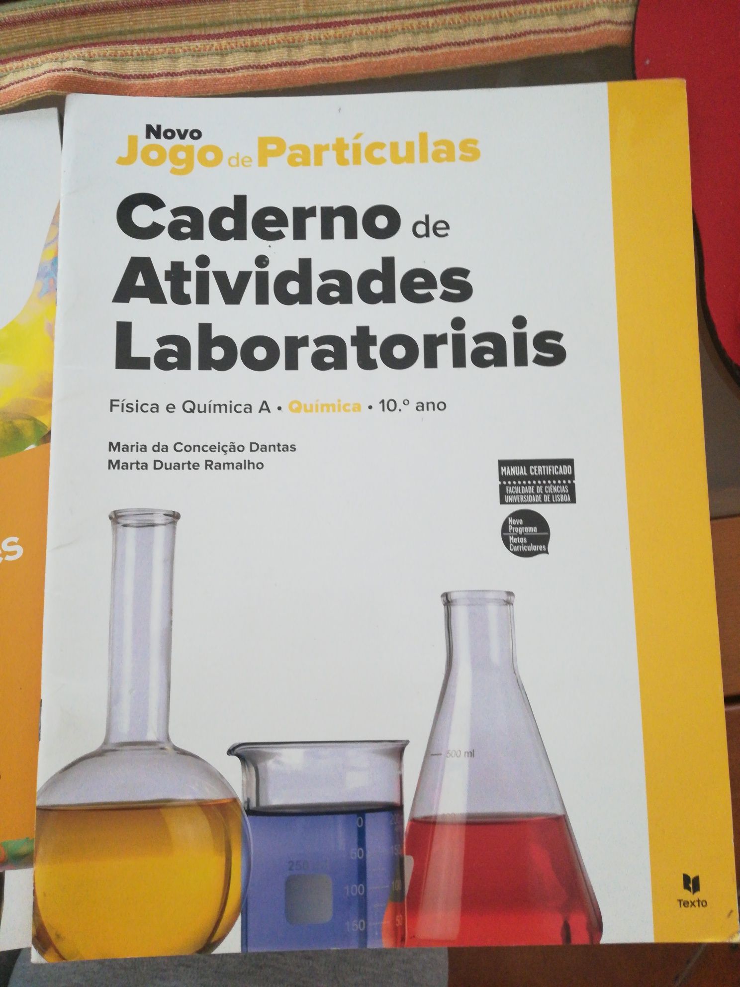 Caderno de fichas e actividades física e química 10