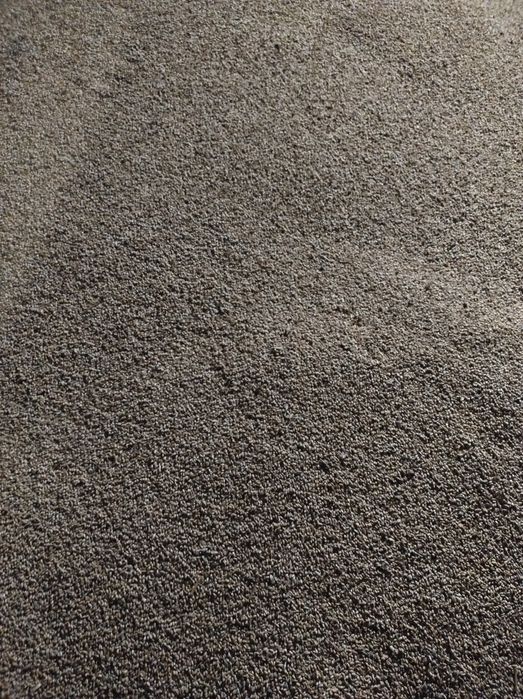 Pszenica    jęczmień