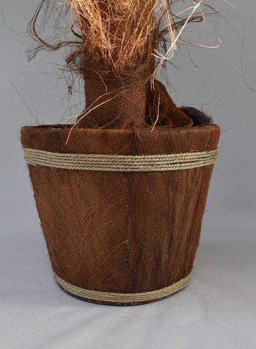 Piękna sztuczna palma wysoka, dużo liści, kokosy drzewko egzotyczne