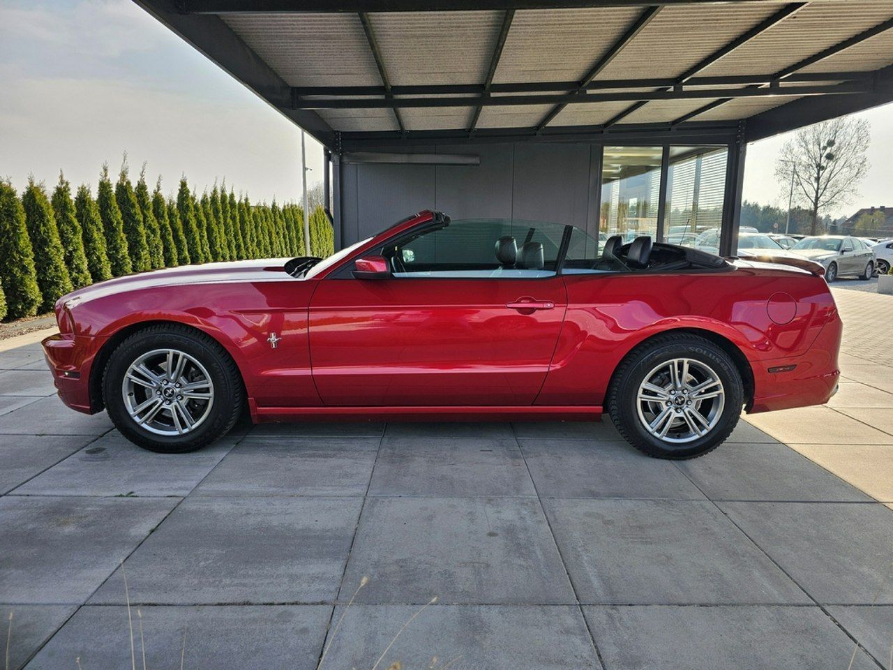Ford Mustang 3,7benz/Cabrio/Automat/Xenon/Skóra/Serwis/GWAR
