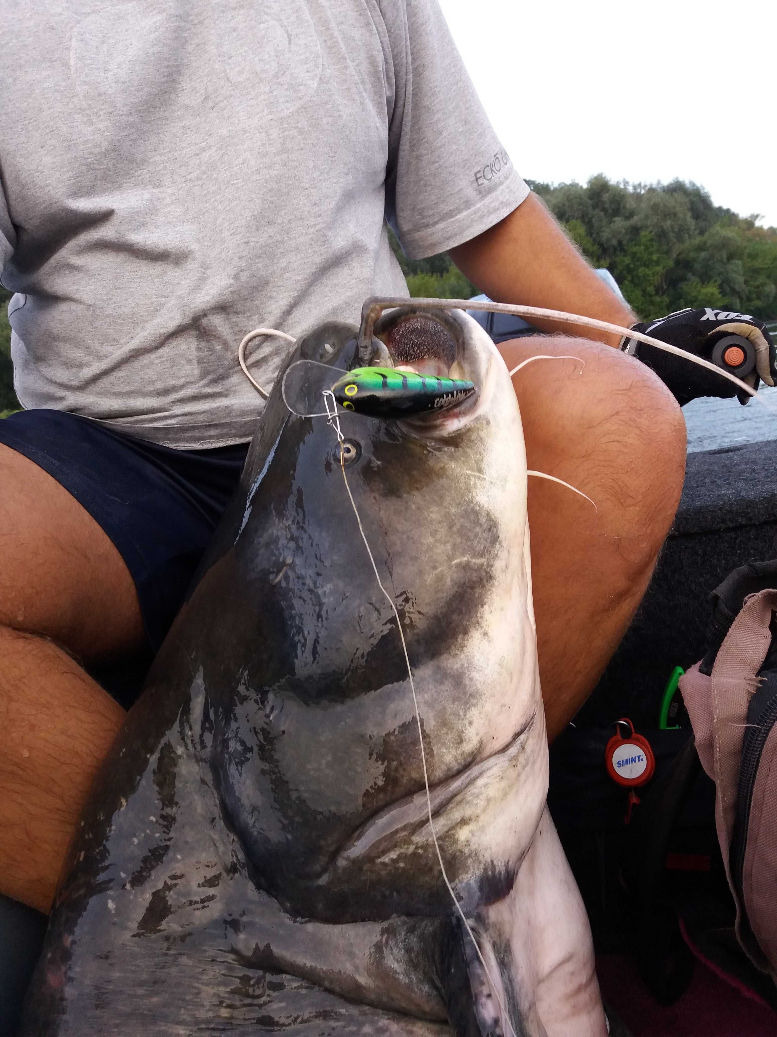 Wobler Sumowy CFLures - RIVER TIGER (trolling / spinning)