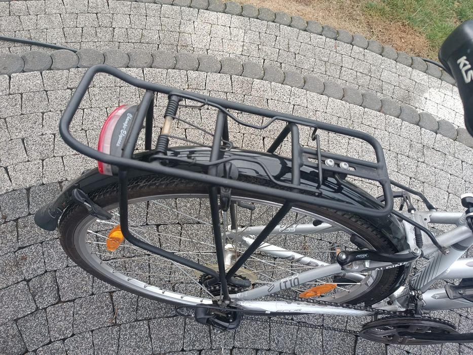 Rower Alpina eco
