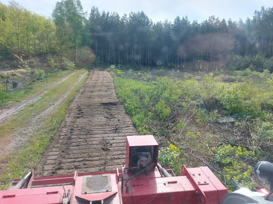 Wycinka drzew Mulczer Wgłębny Mulczer Leśny  Frezowanie pni drzew