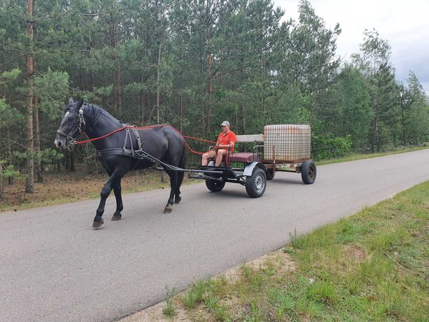 Bryczka konna dokart przodek