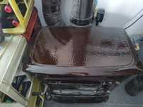 Vendo salamandra