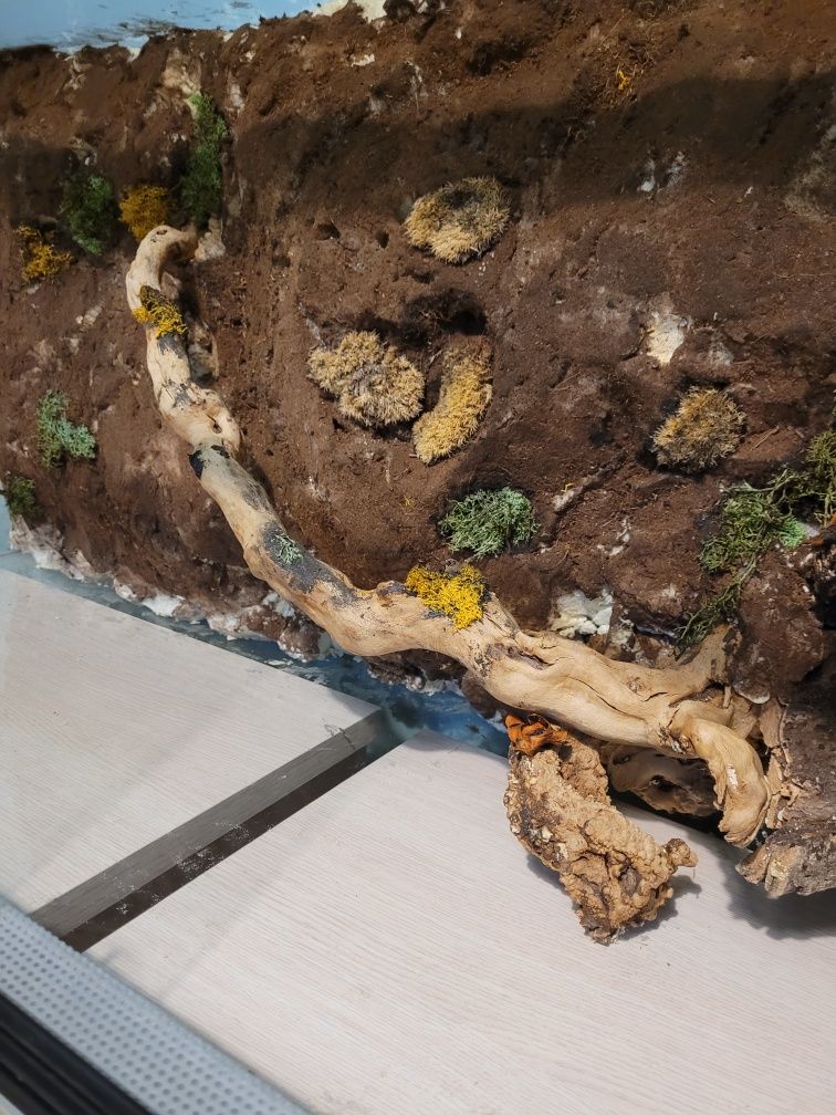 Terrarium dla węża kameleona gada gadów jaszczurki gekona agamy 110cm