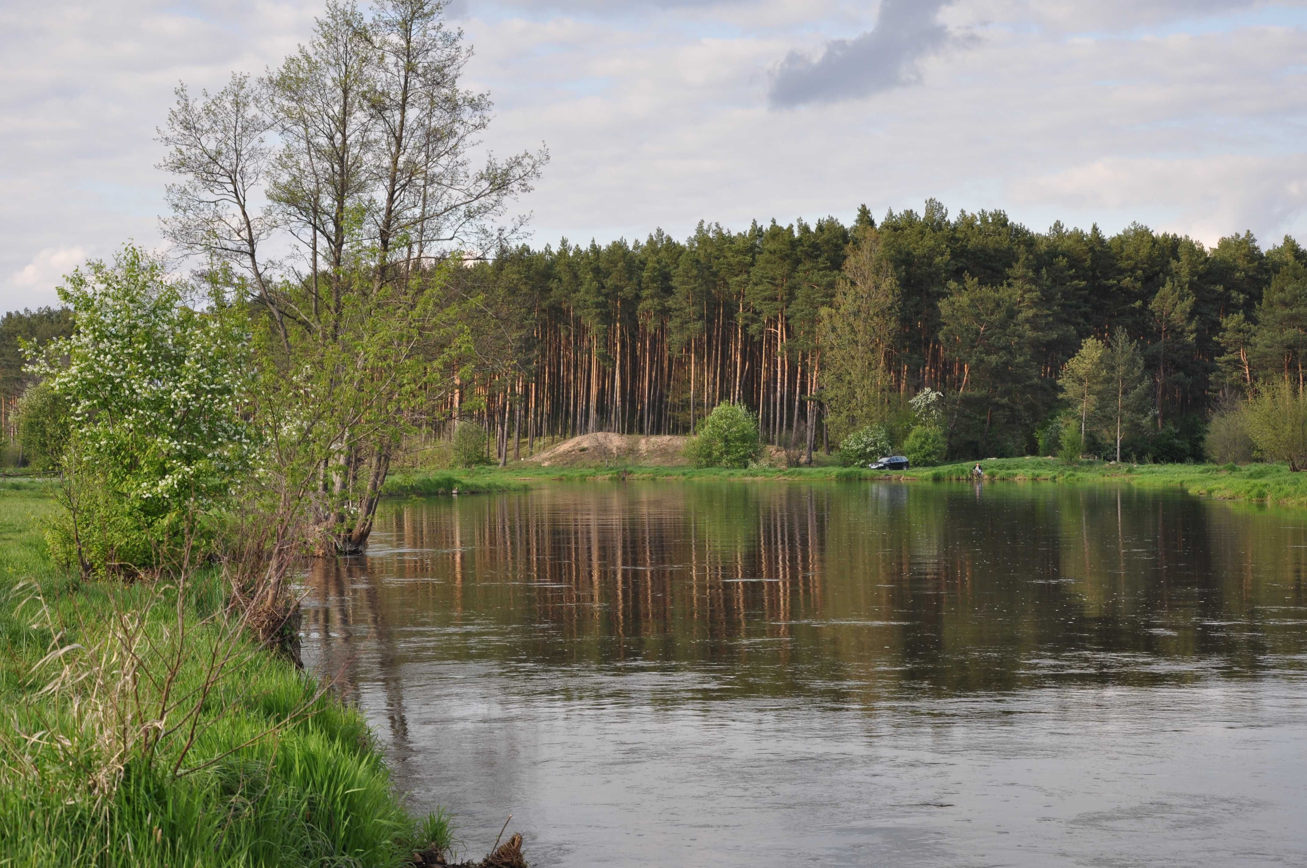 Spływy Kajakowe Pilicą Tomaszów - Spała - Zakościele - Grotowice