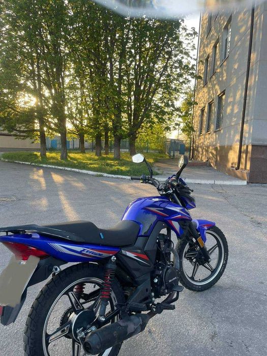 Musstang Fortune 200 / Region 200 на документах