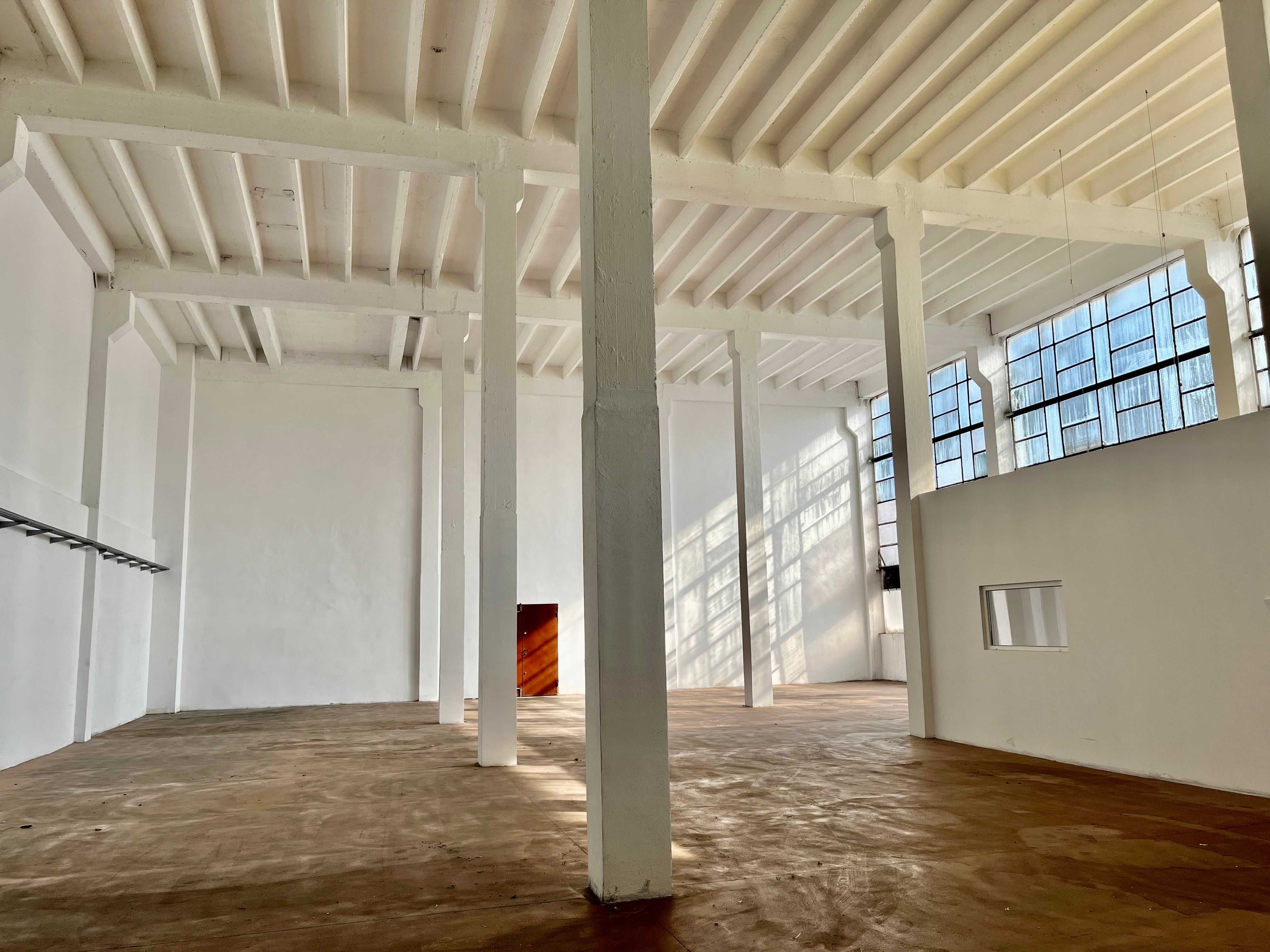 550 m2 - hala Teofilów - wynajmę