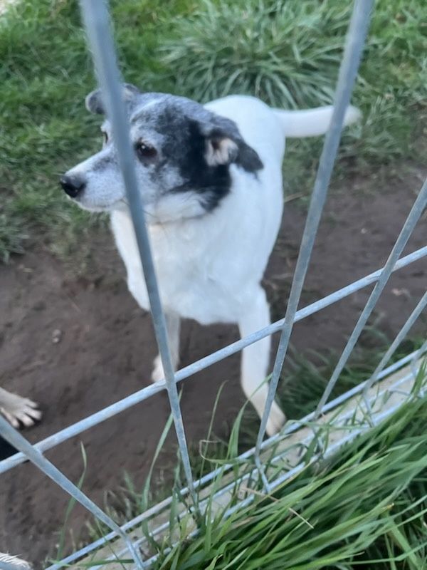Przekochana Mamusia do adopcji