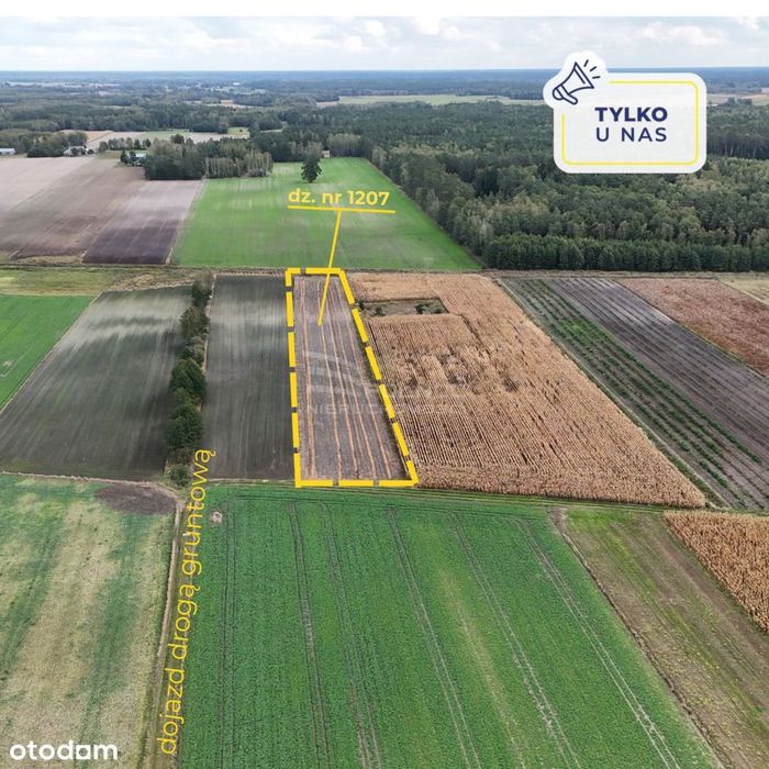 Działka rolna 7300m²,  przy rzece - Kolembrody