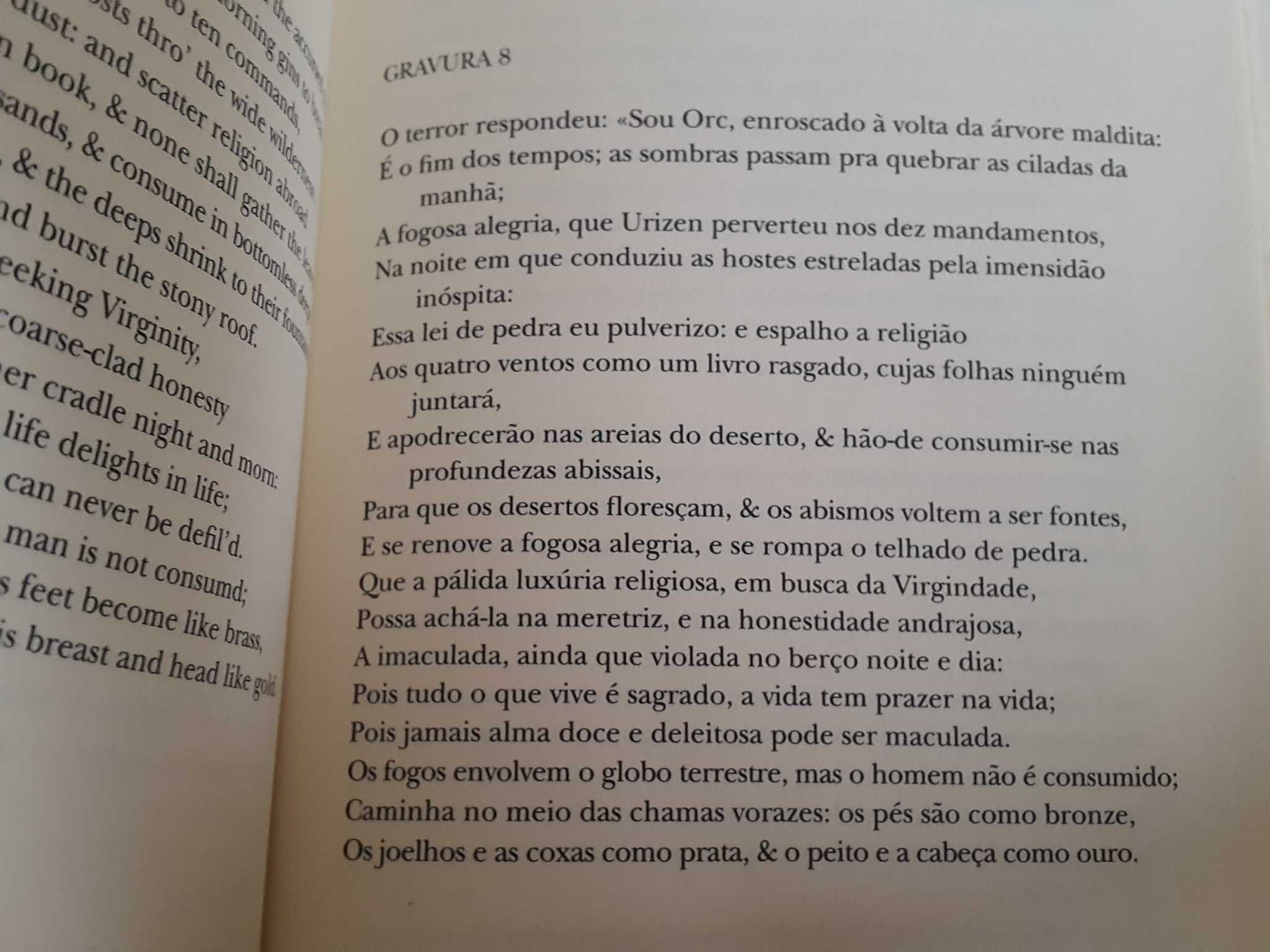 William Blake - Sete Livros Iluminados