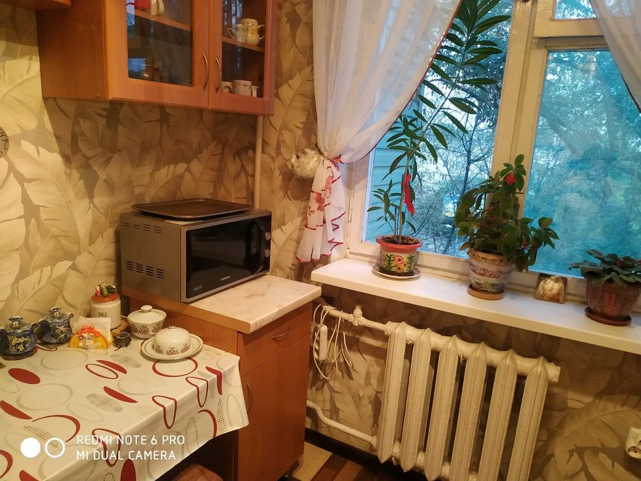 Срочно сдам квартиру в Приморском районе!Можно с собачкой!