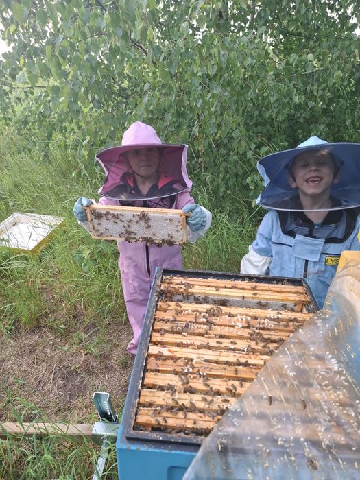 Miód pszczeli naturalny