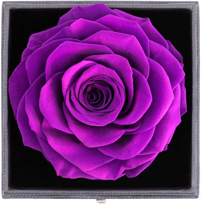 Rosa reservada com corrente de prata para mulher