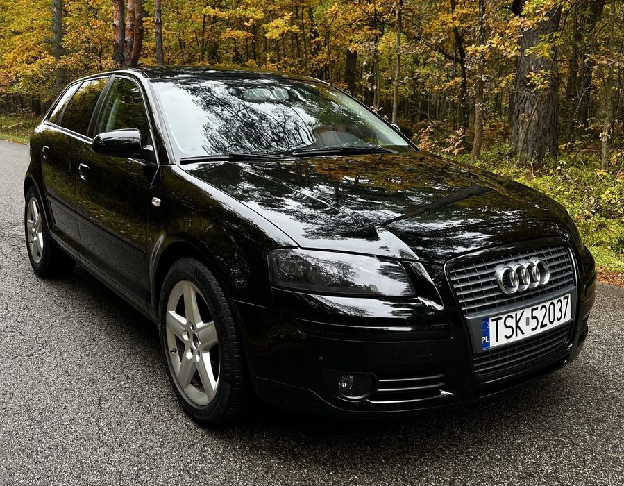 AUDI A3 8P 1.6B MPI 102KM