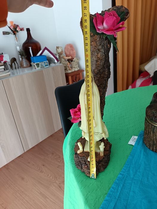 Imagem Sr. Fátima fluorescente