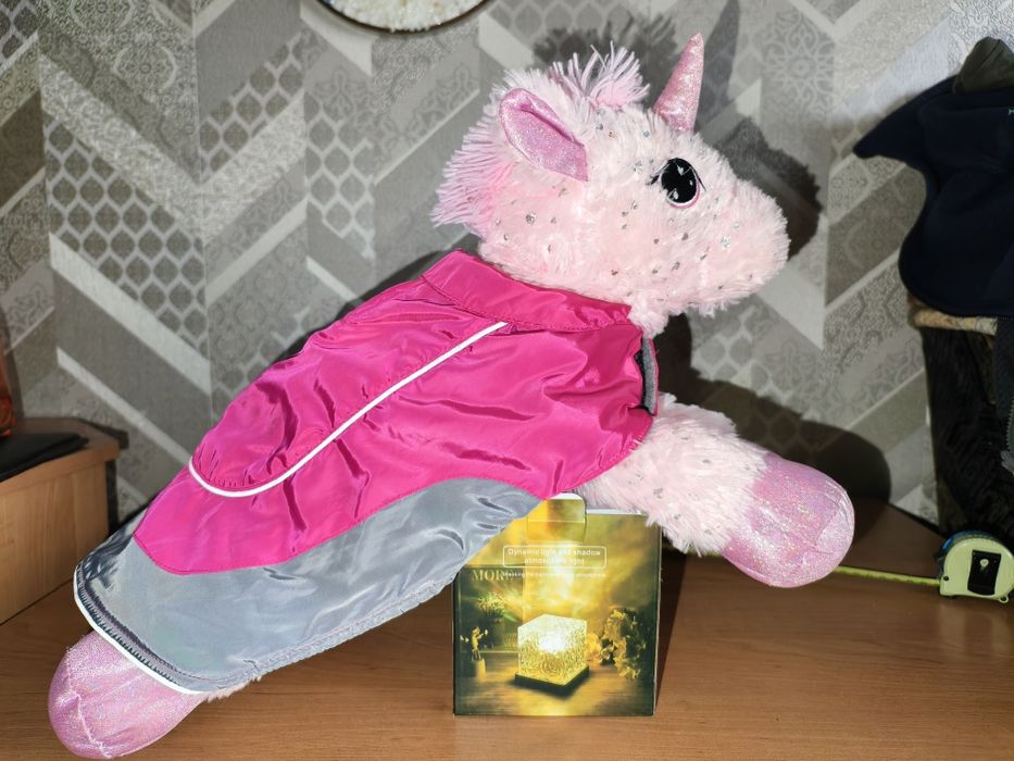 Жилет, пальто, намордник, шлея, попона, амуніція, одяг