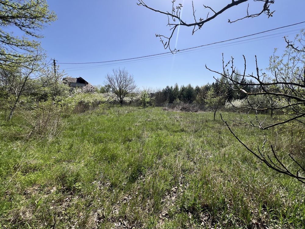 Продаж будинку з ділянкою в Кривушах