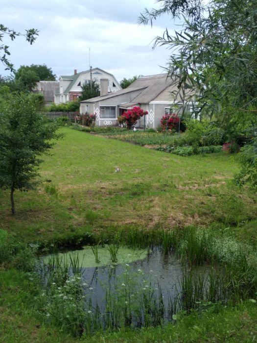 Продам будинок 1/2 в центрі містечка