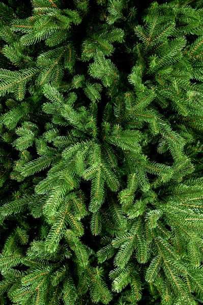 Ялинка Лита ELIT 1.5