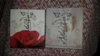 2 CD-ROM Amália - Fado Poemas e Flores