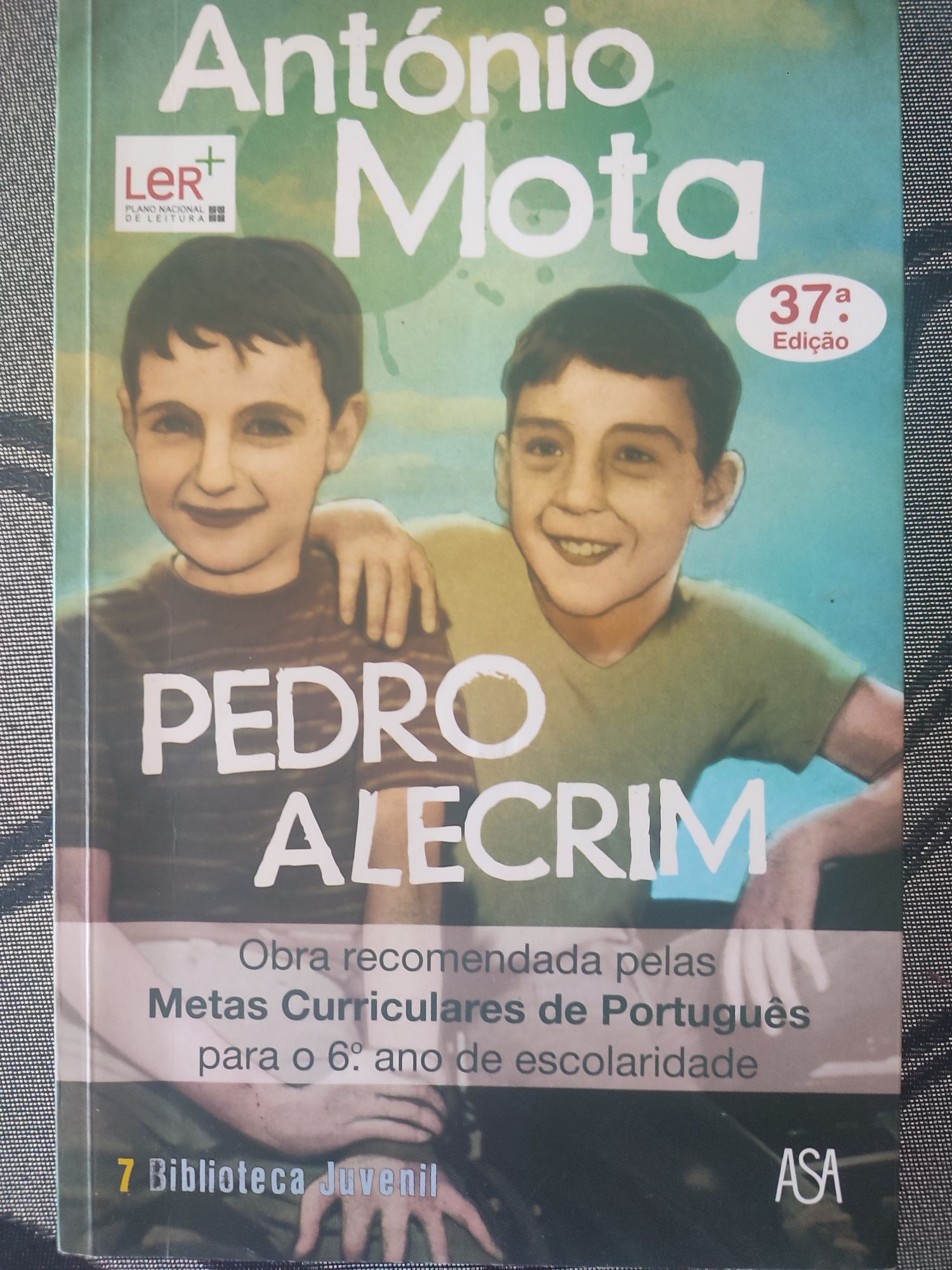 Pedro Alecrim Livro curricular 6°ano