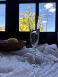 12 Flutes/Copo de champagne da Noblesse