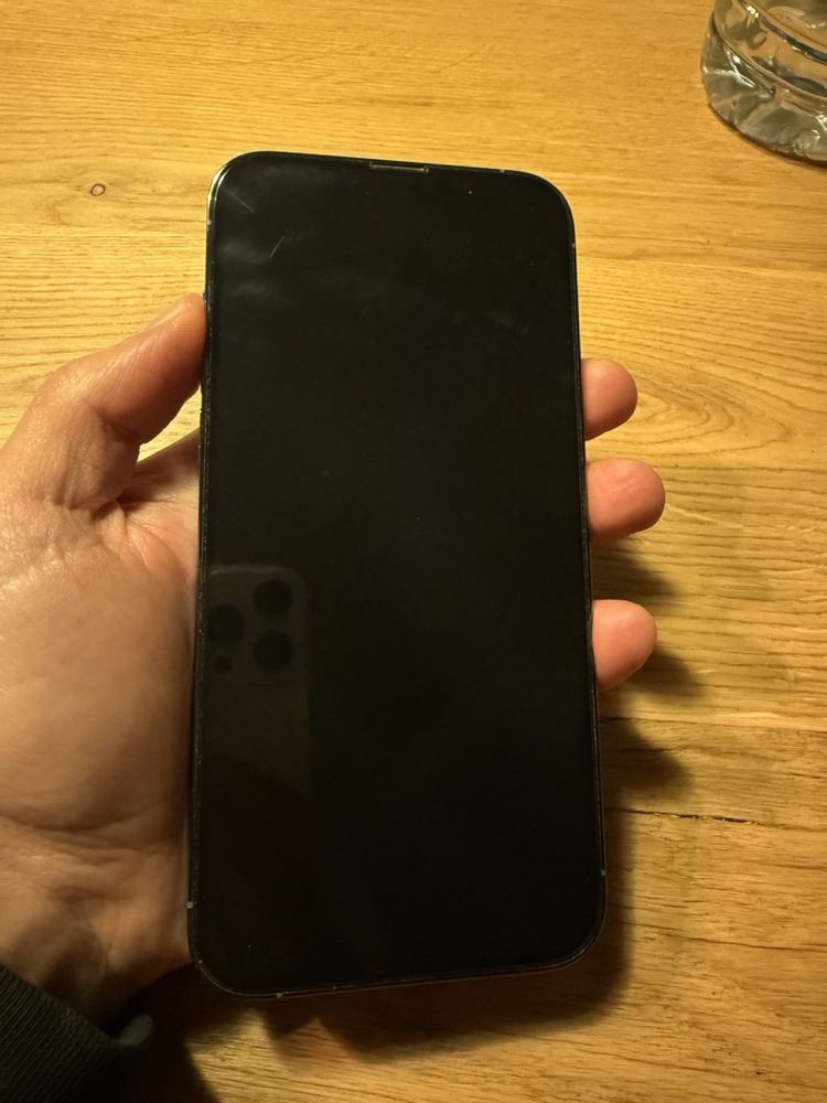 iPhone 13 Pro Max