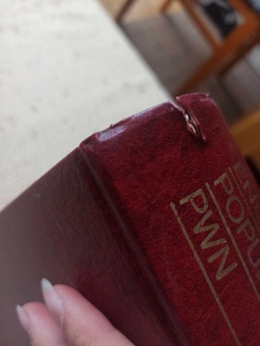 Encyklopedia Popularna PWN