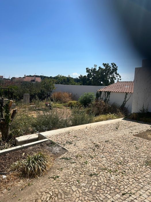 Manutensões de Jardins e Quintais