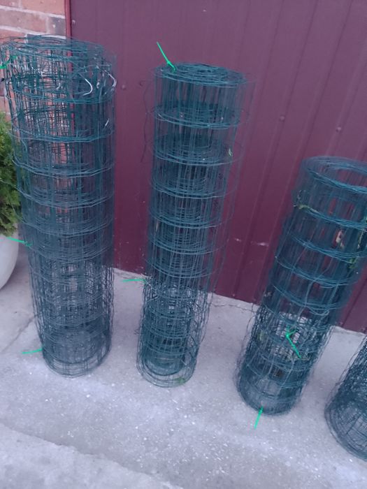 Siatka ogrodzeniowa na wybieg kur