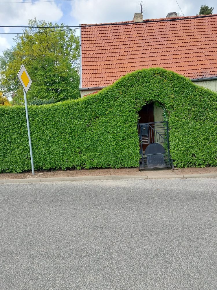 Dom wolnostojący Głuszyca Kolonia