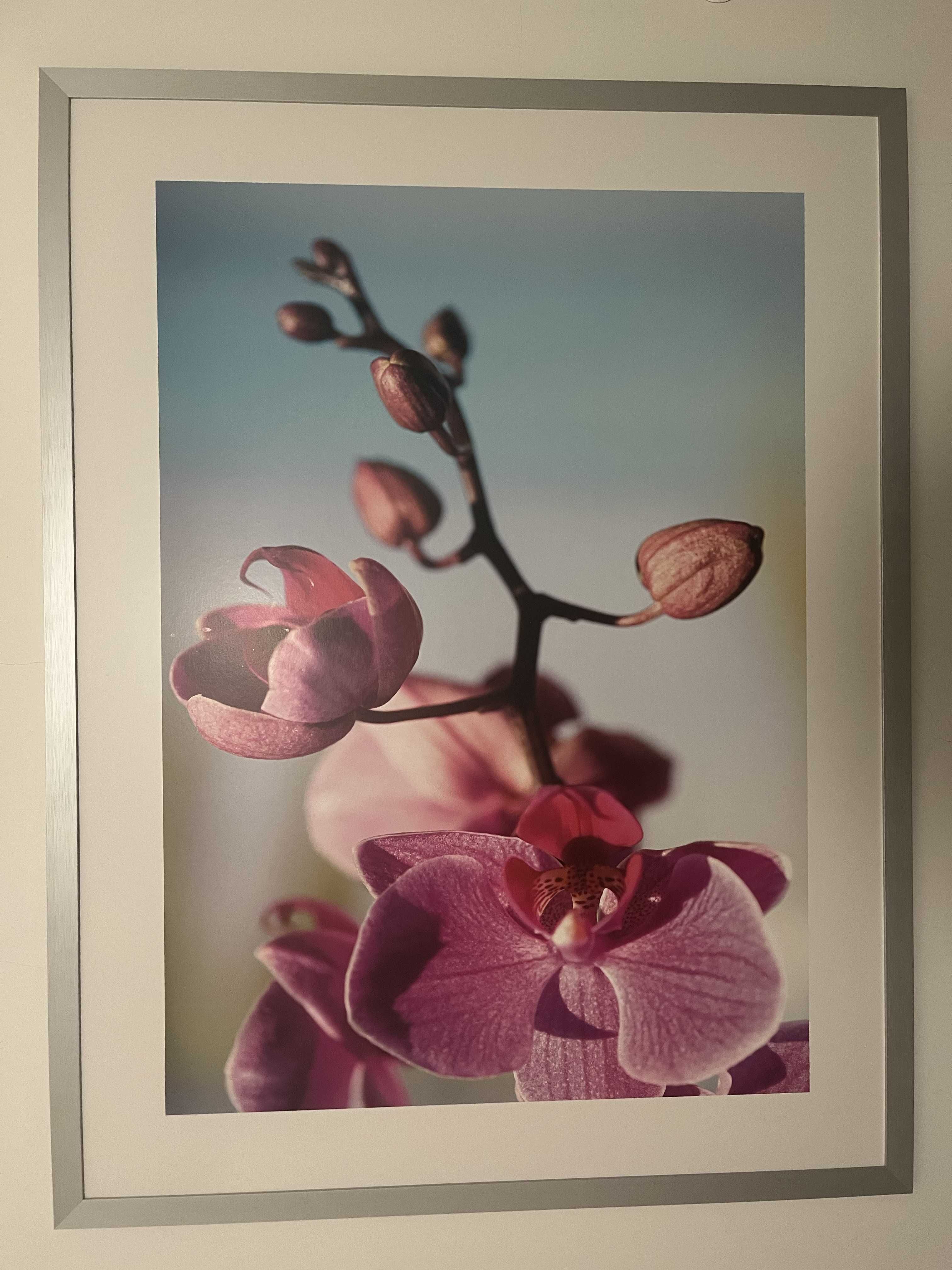 Obraz Ikea. Duży ok 119cm na 90cm. Rama aluminiowa.